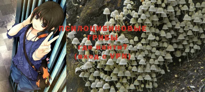 Галлюциногенные грибы MAGIC MUSHROOMS  закладка  маркетплейс телеграм  Избербаш 